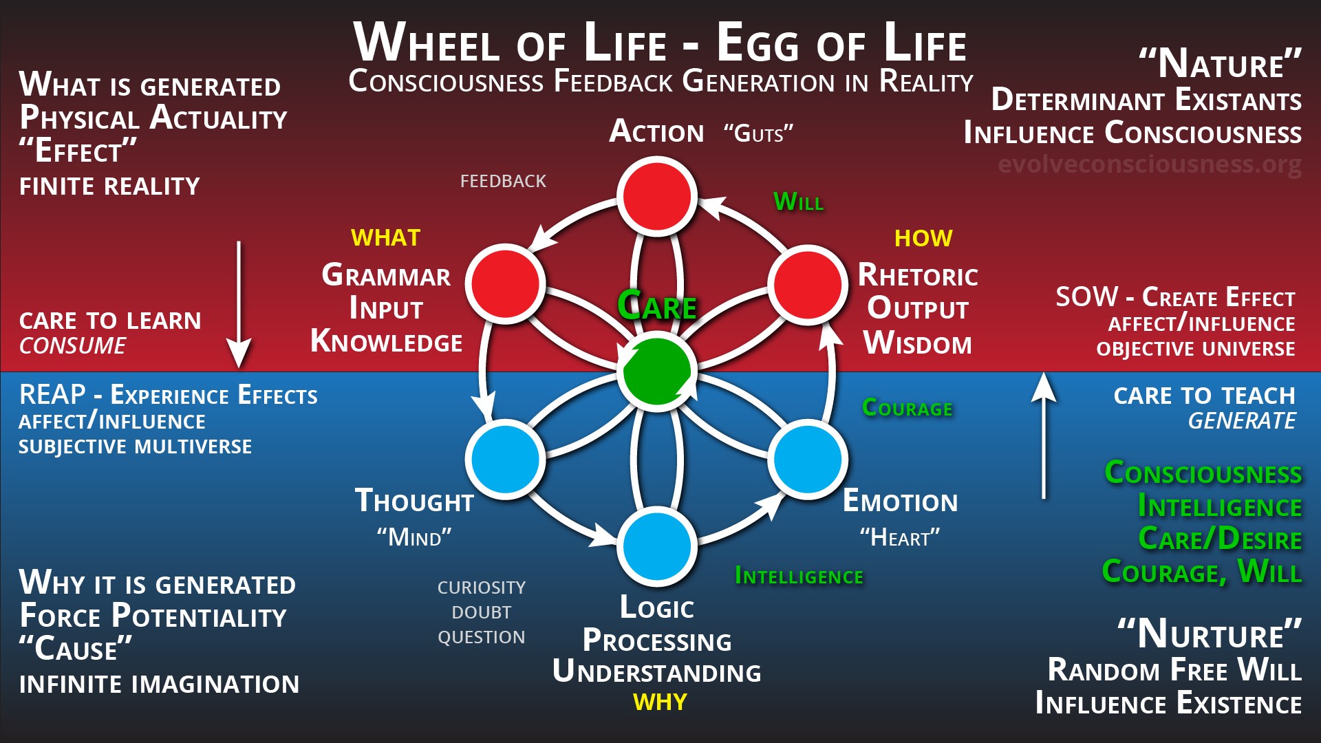 Consciousness and Causality Symbolism